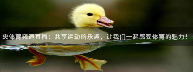 袋鼠直播体育app：央体育频道直播：共享运动的乐趣，让我们一起感受体育的魅力！