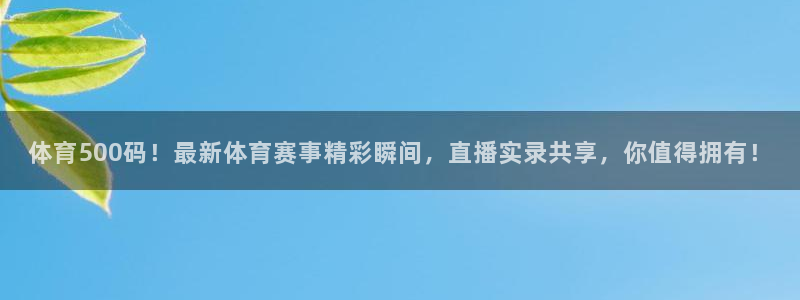 袋鼠体育直播足球：体育500码！最新体育赛事精彩瞬间，直播实录共享，你值得拥有！