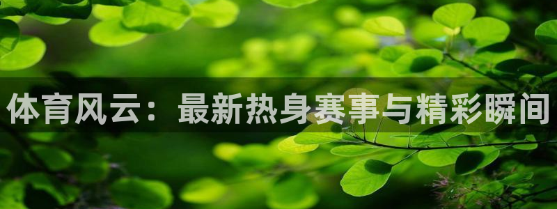 袋鼠体育免费观看：体育风云：最新热身赛事与精彩瞬间