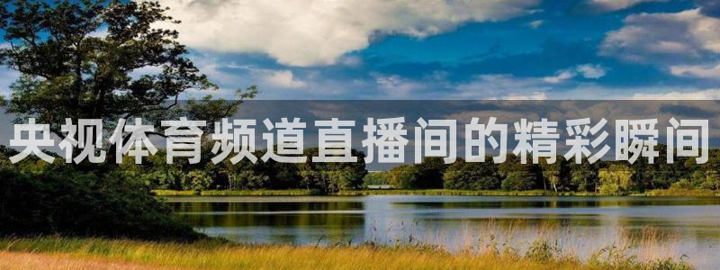 袋鼠体育直播app：央视体育频道直播间的精彩瞬间