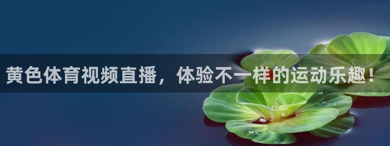 袋鼠体育足球直播：黄色体育视频直播，体验不一样的运动乐趣！