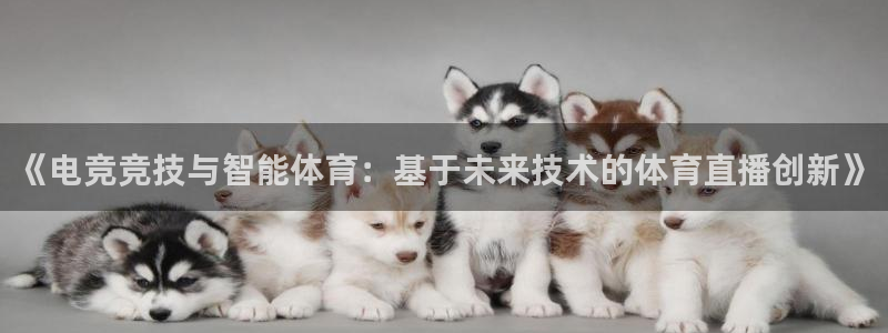 袋鼠直播体育：《电竞竞技与智能体育：基于未来技术的体育直播创新》