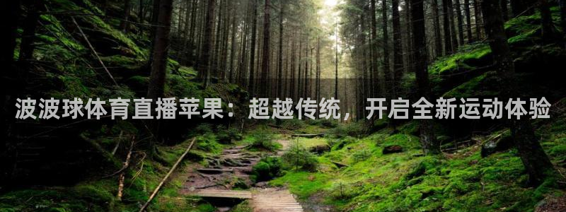 袋鼠体育app：波波球体育直播苹果：超越传统，开启全新运动体验