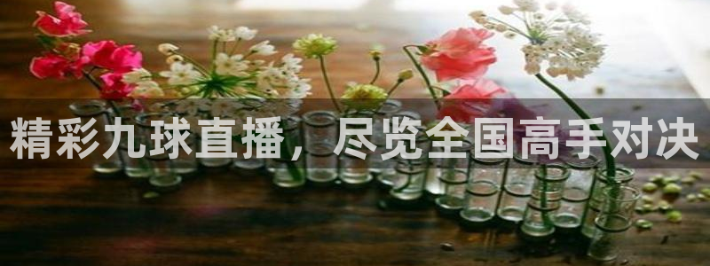 袋鼠直播nba：精彩九球直播，尽览全国高手对决