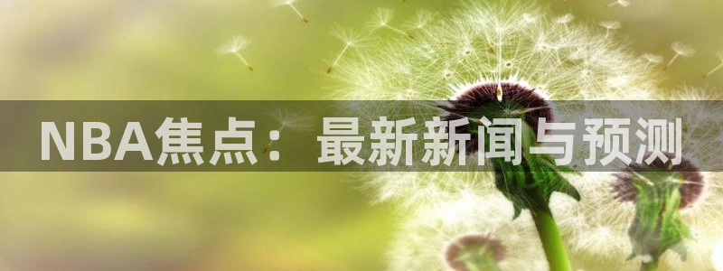 袋鼠直播体育免费直播：NBA焦点：最新新闻与预测